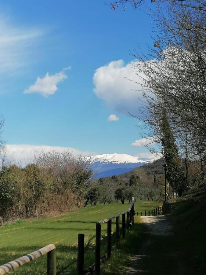 Garda Best Living Leilighet Desenzano del Garda Eksteriør bilde